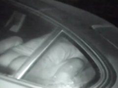 Скрытая камера запечатлела ночной секс озабоченного водителя и кудрявой дамы